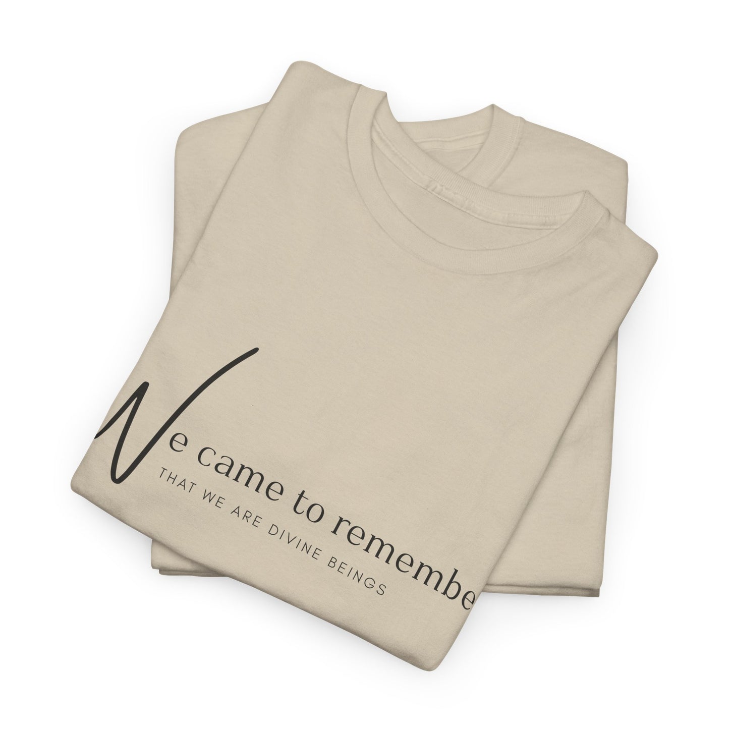 We Came to Remember T- Shirt