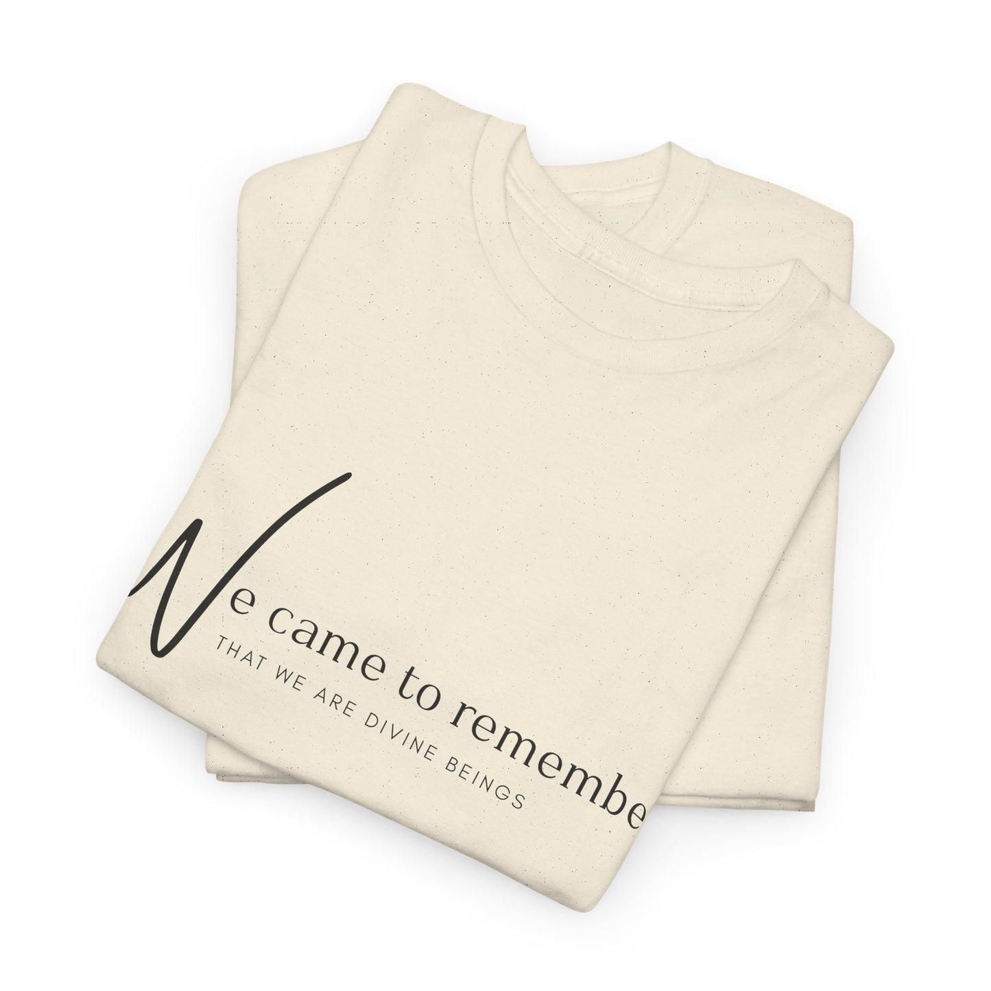 We Came to Remember T- Shirt