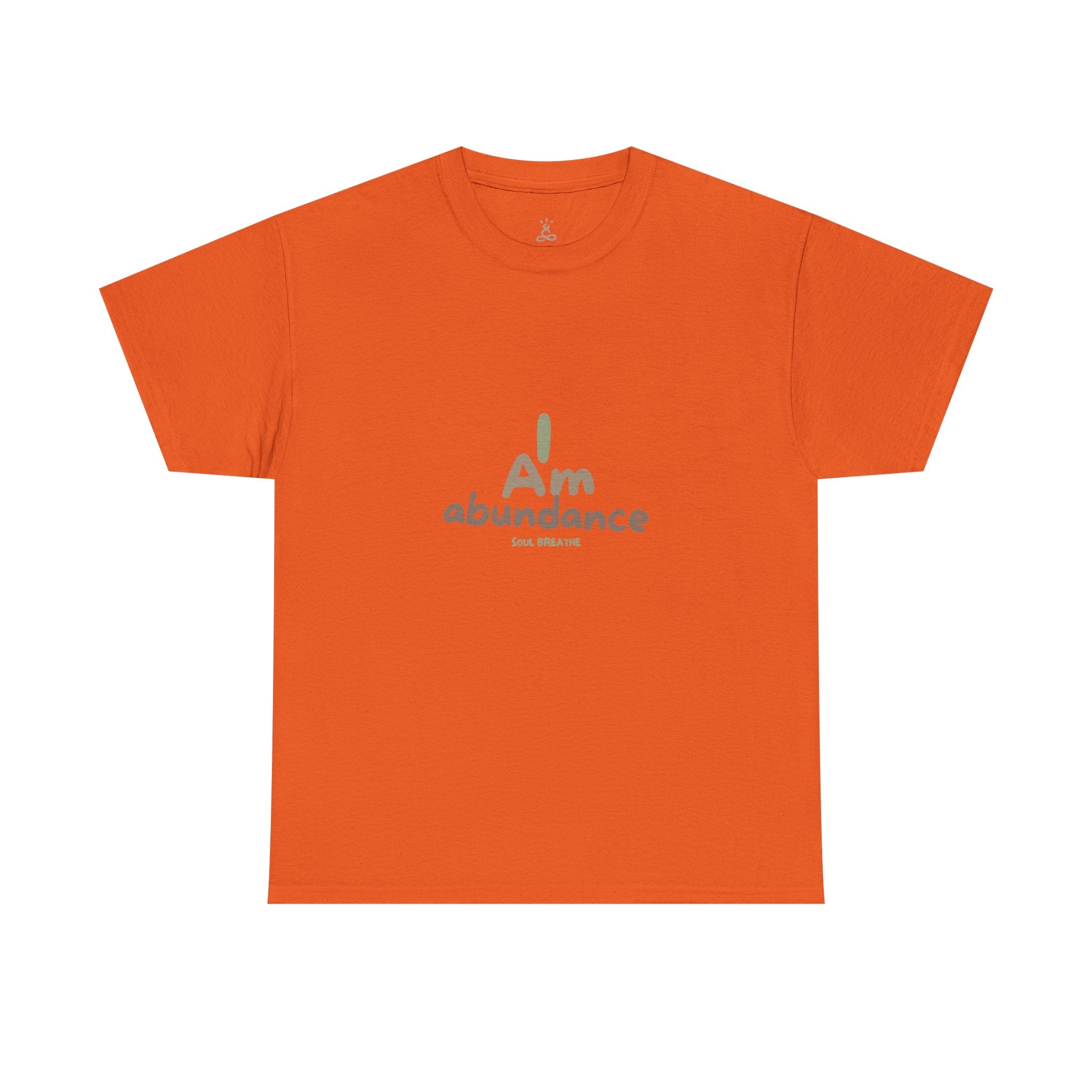 Spiritual T-Shirt - I Am Abundance Mindset Affirmation Tee