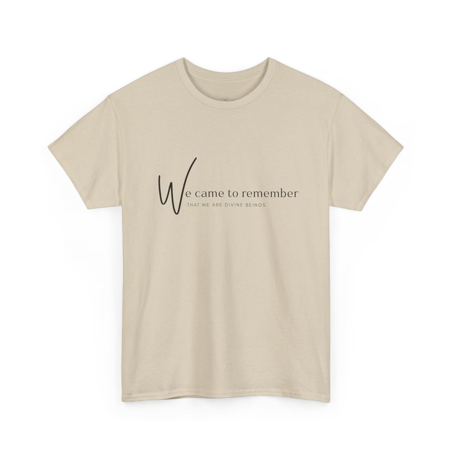 We Came to Remember T- Shirt