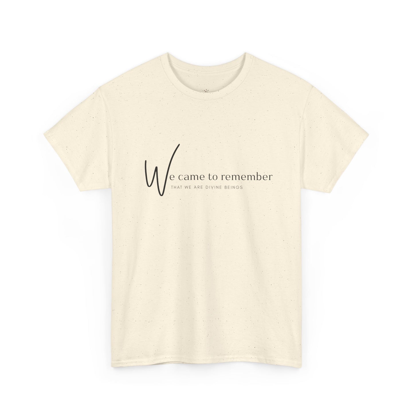 We Came to Remember T- Shirt